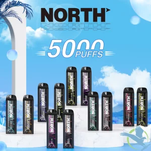 Unveiling the Enigma: Decoding the North Vape 5000 – Price Performance and Puff Perfection